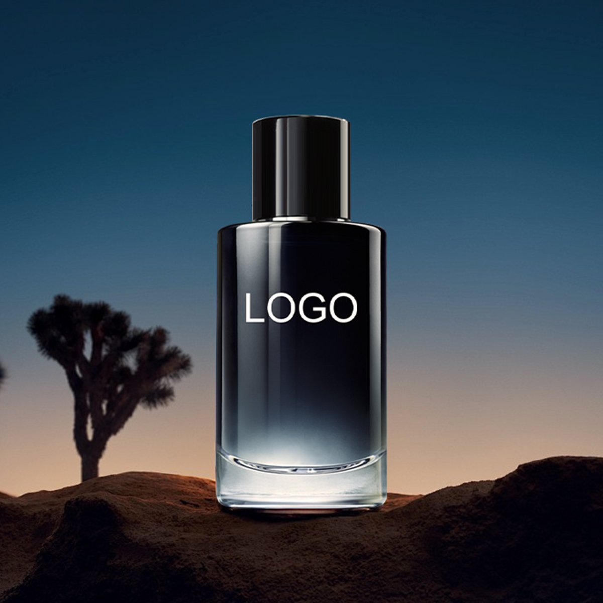 Wholesale 50ml Men's Perfume OEM/ODM Perfume Original Cologne Parfums for men