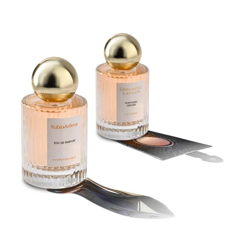 50ml 100ml Parfum Private Label Long-lasting Mens Perfume Fragrance Original Perfume For Men