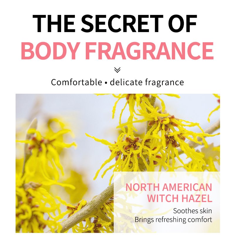 Wholesale Long-Lasting Roll-On Deodorant Stick Antiperspirant with Non-Irritating Fragrance Perfume for Adults