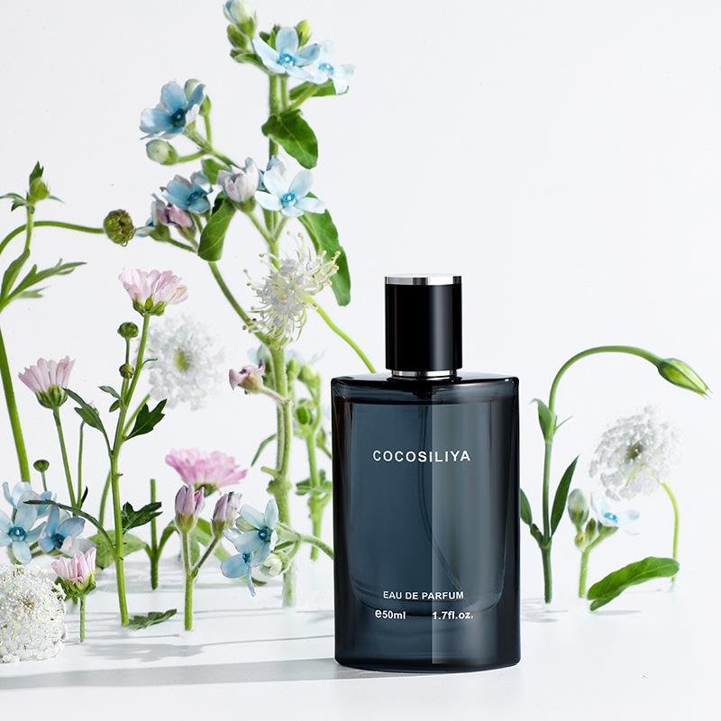 Wholesale Men'S 50ML Brand Perfume Long Lasting Men Fragrance For Body