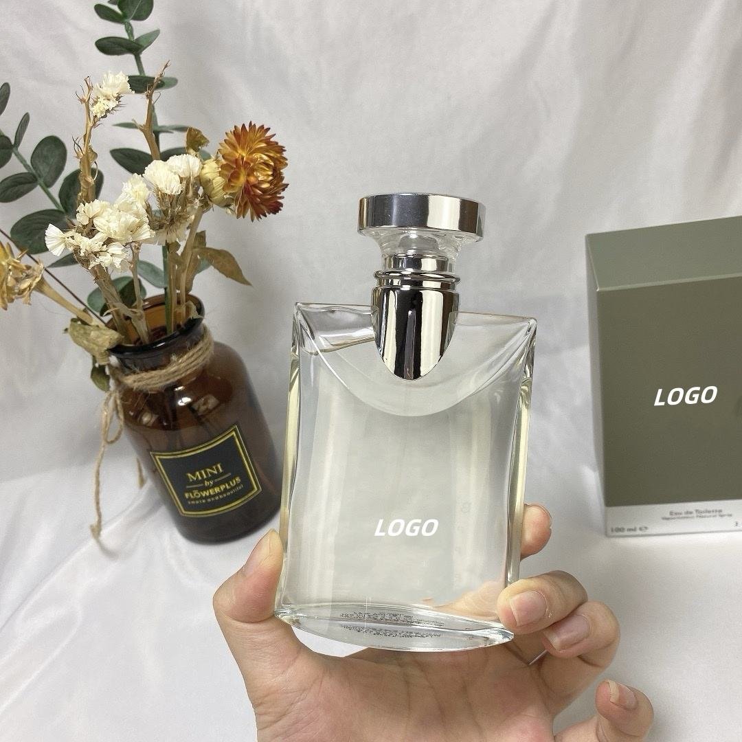 High Quality 100ml Woody Men's Perfume Body Spray Long-Lasting Fragrance Wholesale for Men