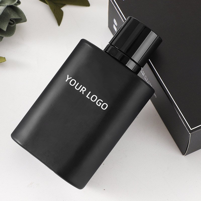 Wholesale 100ml Men's Perfume with Long-lasting Fragrance Original Private Label for Men Long Lasting