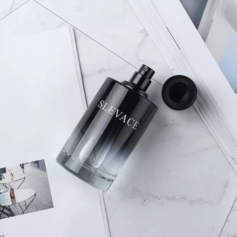 Perfume Brand Eau De Parfum Natural Long Lasting Body Fragrance 2024 High Quality Wholesale100ml Men's Perfume for Men