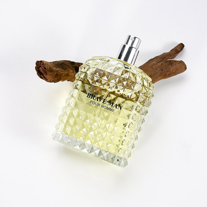 Wholesale High Quality perfume for Men Cologne 100ml Men's Perfume Long Lasting Perfumes Original