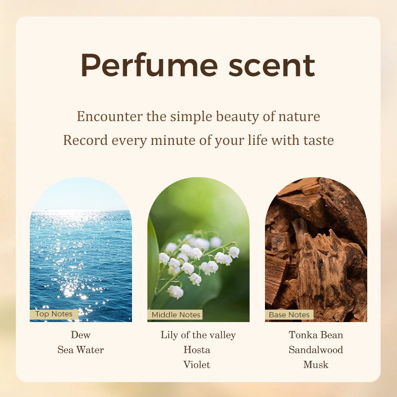 Forest Cedar Scent Long-Lasting Original Woman Perfume Private Label Men Fragrance Long Lasting Perfume Attracts Women
