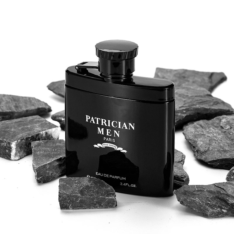 Perfume Factory 100ml Men's Perfume Cologne Long Lasting Woody Parfum cologne for men perfume
