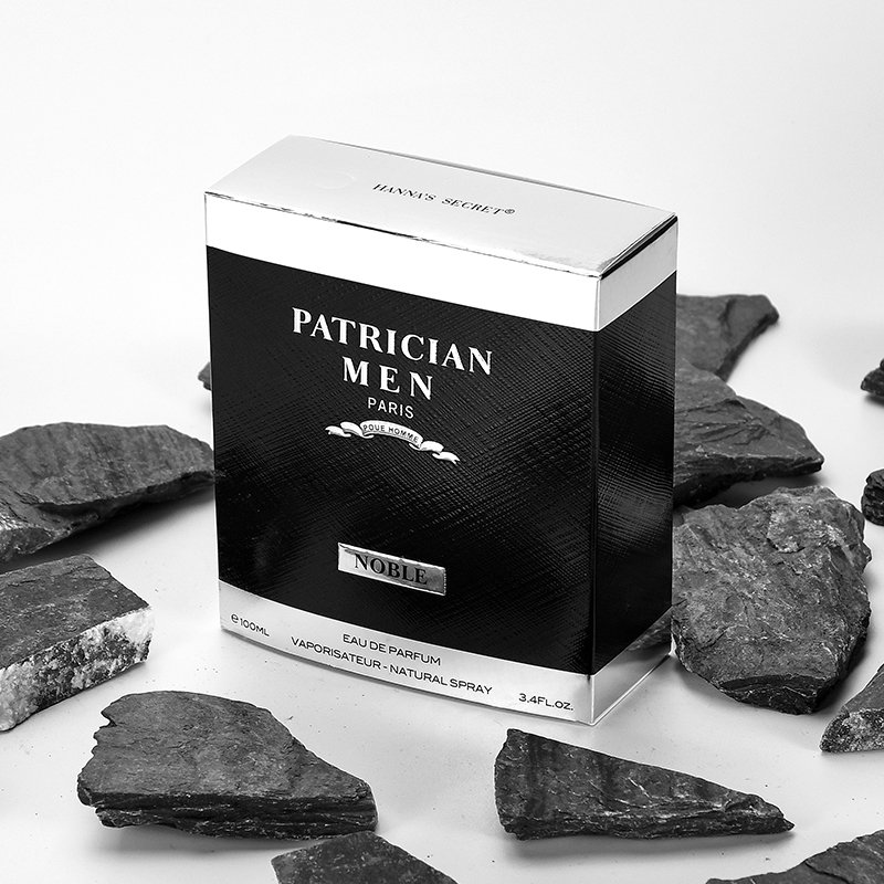 Perfume Factory 100ml Men's Perfume Cologne Long Lasting Woody Parfum cologne for men perfume