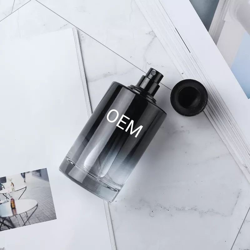 2024 High Quality Wholesale Men's 100ml Cologne Spray Perfume Wood Note Lasting EDP Men's Perfume