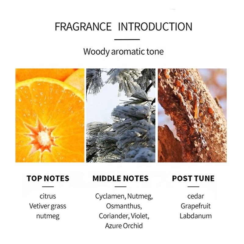 Hot Sale In Stock Perfume Long Lasting Men'S Perfume Spray Lasting Light Fragrance Men'S Flavo