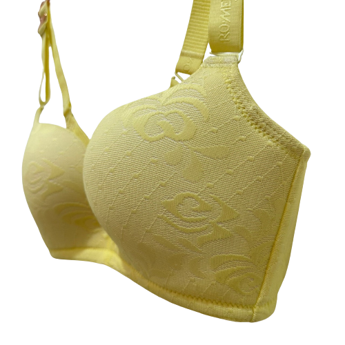 Industry Seller Ladies Bra Wholesale Large Size Sexy Ladies Wear Big Bra Ladies Fancy Bra