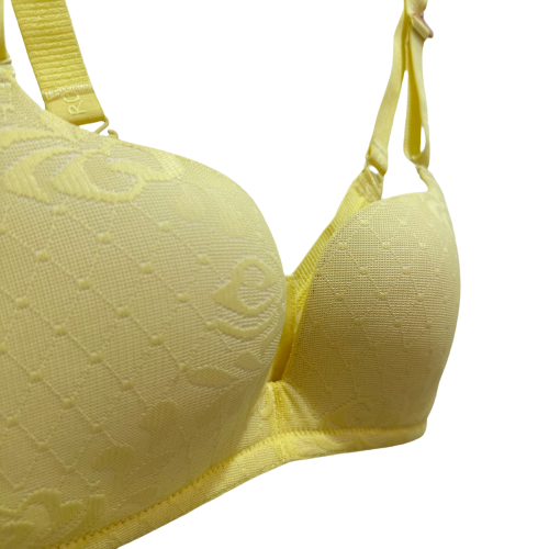 Industry Seller Ladies Bra Wholesale Large Size Sexy Ladies Wear Big Bra Ladies Fancy Bra