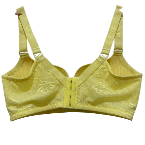 Industry Seller Ladies Bra Wholesale Large Size Sexy Ladies Wear Big Bra Ladies Fancy Bra