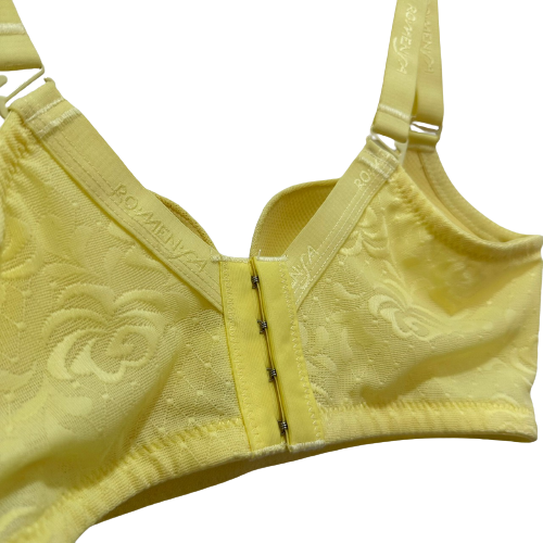 Industry Seller Ladies Bra Wholesale Large Size Sexy Ladies Wear Big Bra Ladies Fancy Bra