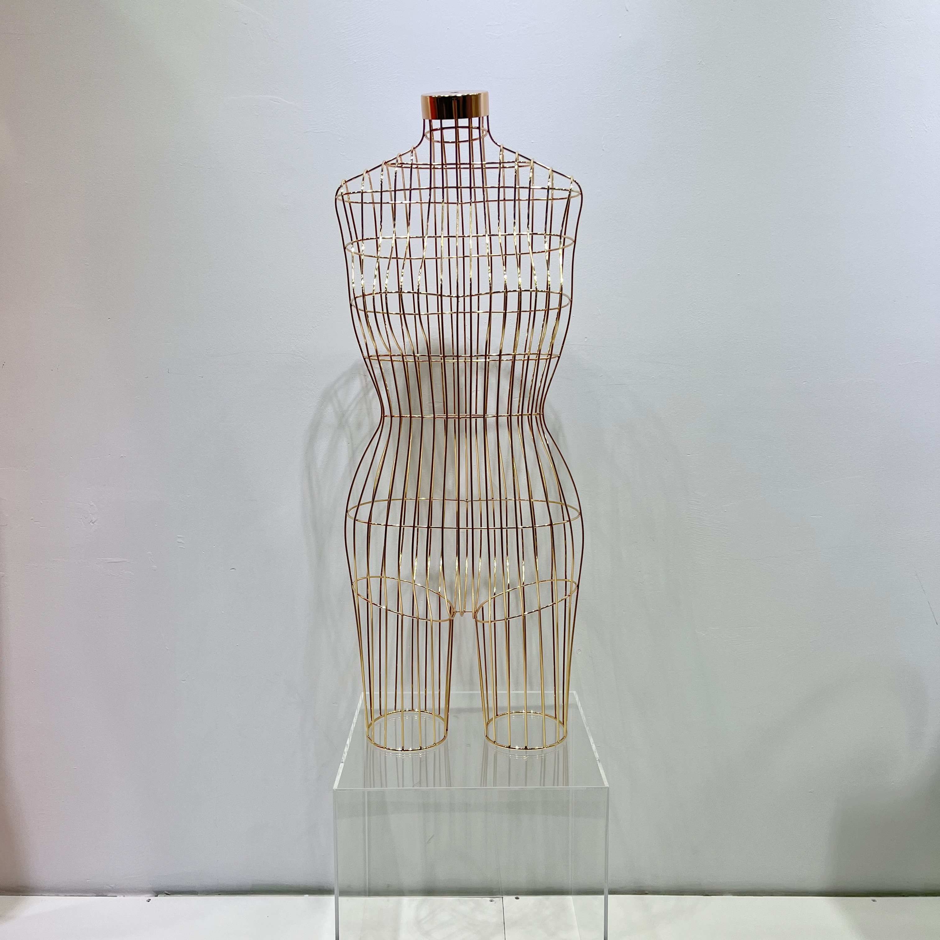 Iron Mannequin Torso Big Breast Standing / Hanging for Clothes Display Upper Body Metal Wire Mannequins Female Gold Plus Size