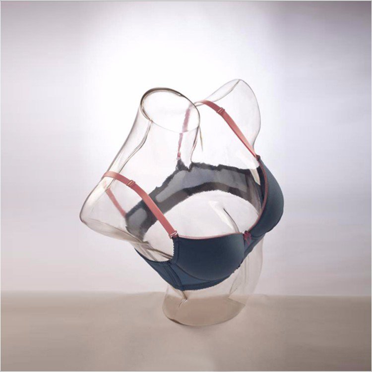 Fashion Lingerie Display Clear Female dummy Bra Bust form Mannequin for Underwear clothes