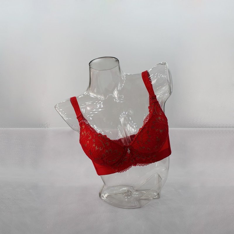 Fashion Lingerie Display Clear Female dummy Bra Bust form Mannequin for Underwear clothes