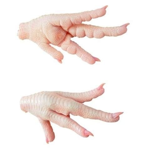 Bulk Price Frozen Chicken Paws from Top Supplier In Thailand