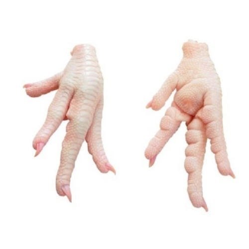 Bulk Price Frozen Chicken Paws from Top Supplier In Thailand