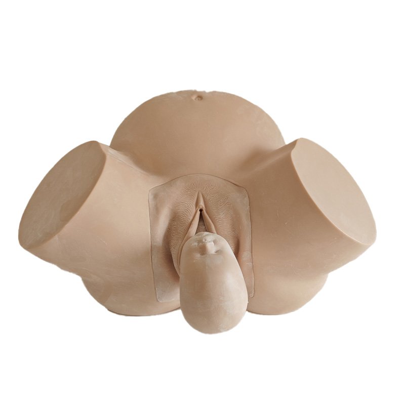 Medica Science Midwifery Model For Teaching, Abnormal Childbirth Simulator, Female Pelvic Model For Training