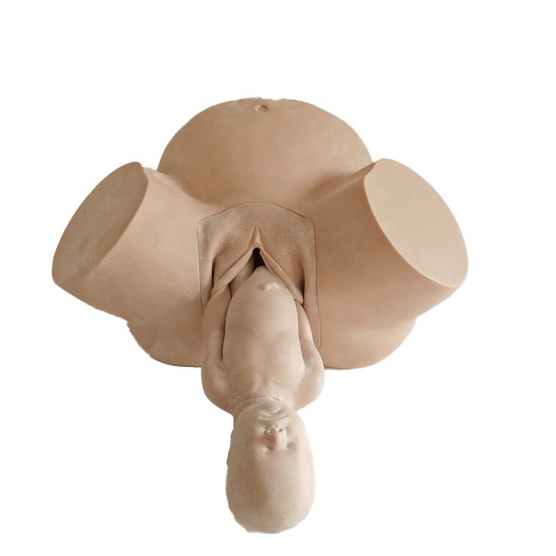 Medica Science Midwifery Model For Teaching, Abnormal Childbirth Simulator, Female Pelvic Model For Training