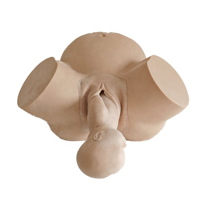 Medica Science Midwifery Model For Teaching, Abnormal Childbirth Simulator, Female Pelvic Model For Training