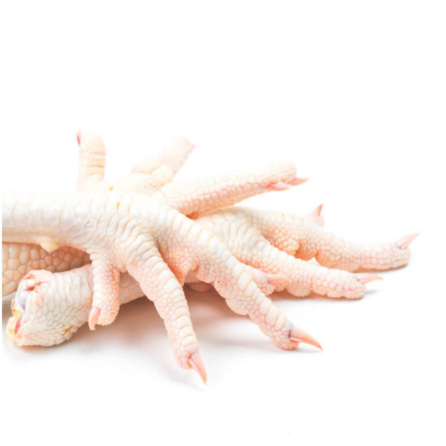 High Quality Frozen Chicken Feet | Bulk Price Frozen Chicken Feet from Top Supplier