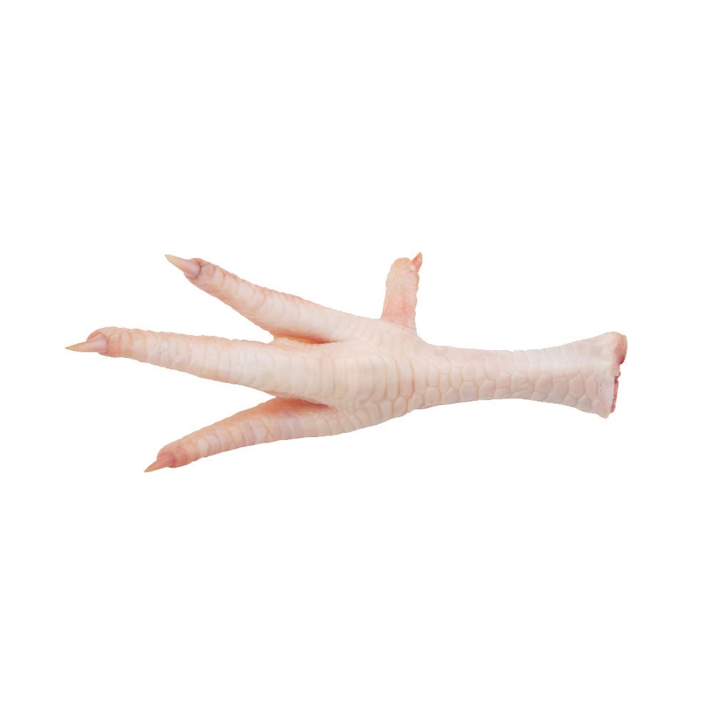 High Quality Frozen Chicken Feet | Bulk Price Frozen Chicken Feet from Top Supplier