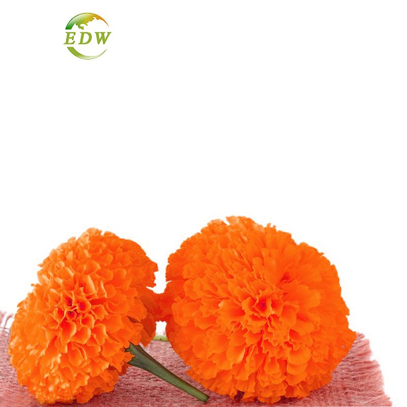 Marigold Flower Extract Lutein CWS Cold Water Soluble Lutein Esters 20% Lutein Beadlets Form