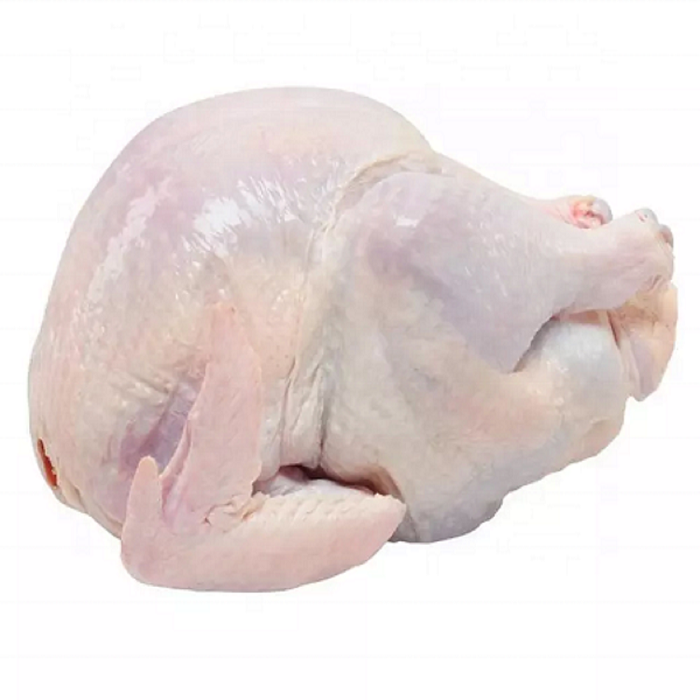 Halal Frozen whole chicken Clean whole frozen chicken for sale /chicken paw /chicken feet
