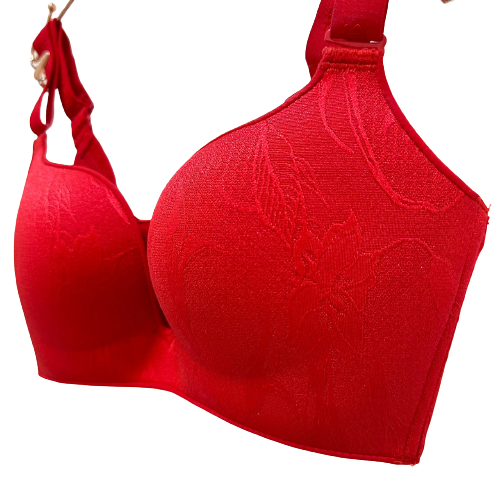 Professional Supplier Ladies Pants And Bra Sets Wireless Bra 85B 85C 85D 85E 90D 90E Bra For Women