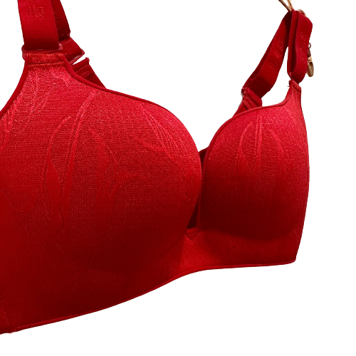 Professional Supplier Ladies Pants And Bra Sets Wireless Bra 85B 85C 85D 85E 90D 90E Bra For Women