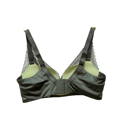 Newest Fashion Woman French Bra And Panty Sets Ladies Sexy Green Bra