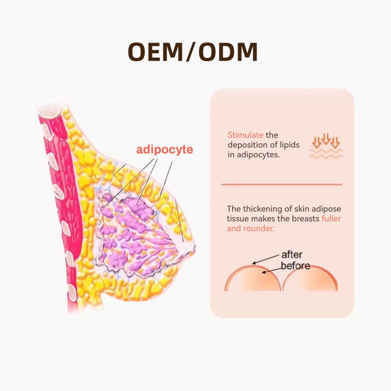 MULAN Papaya Breast Cream Instant Fast Breast Enhancer Beauty Shaping Lifting Firming Nourishing Breast Enlargement Cream
