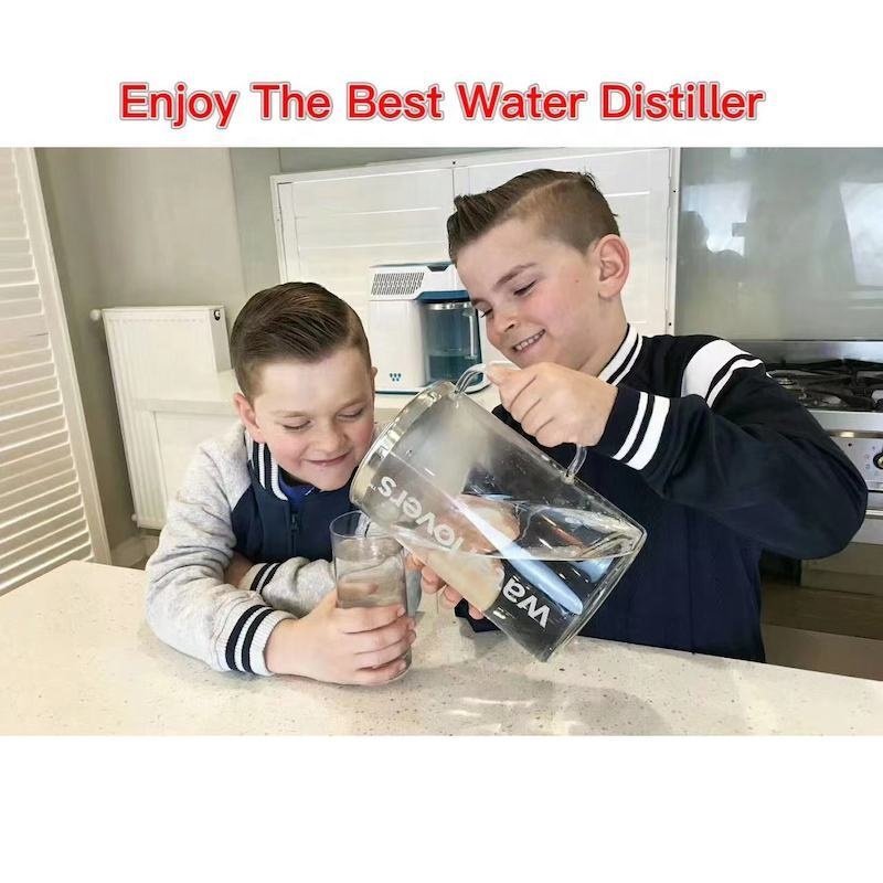 Waterlovers Effect Design Distilled Water Machine Water Distillers Equipment With Elegant Appearance For Family