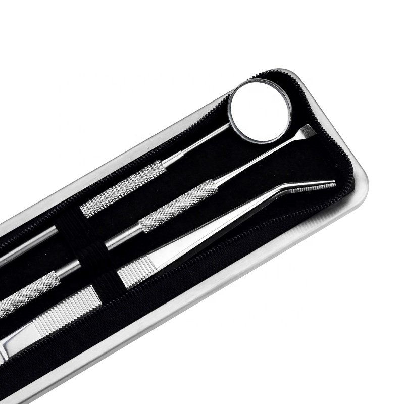 6 Pcs Stainless Steel cleaning Hygiene Kit Tartar Scraper Dental dentist tools plaque Other Oral Hygiene Products