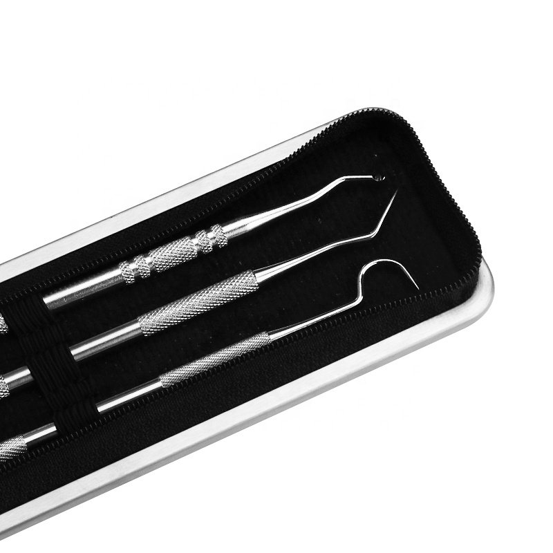 6 Pcs Stainless Steel cleaning Hygiene Kit Tartar Scraper Dental dentist tools plaque Other Oral Hygiene Products