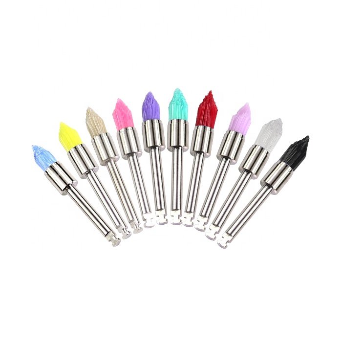 Other Dental Equipments Dentist Lab tool Tapered Polishers Dental Polishing Prophy Brushes