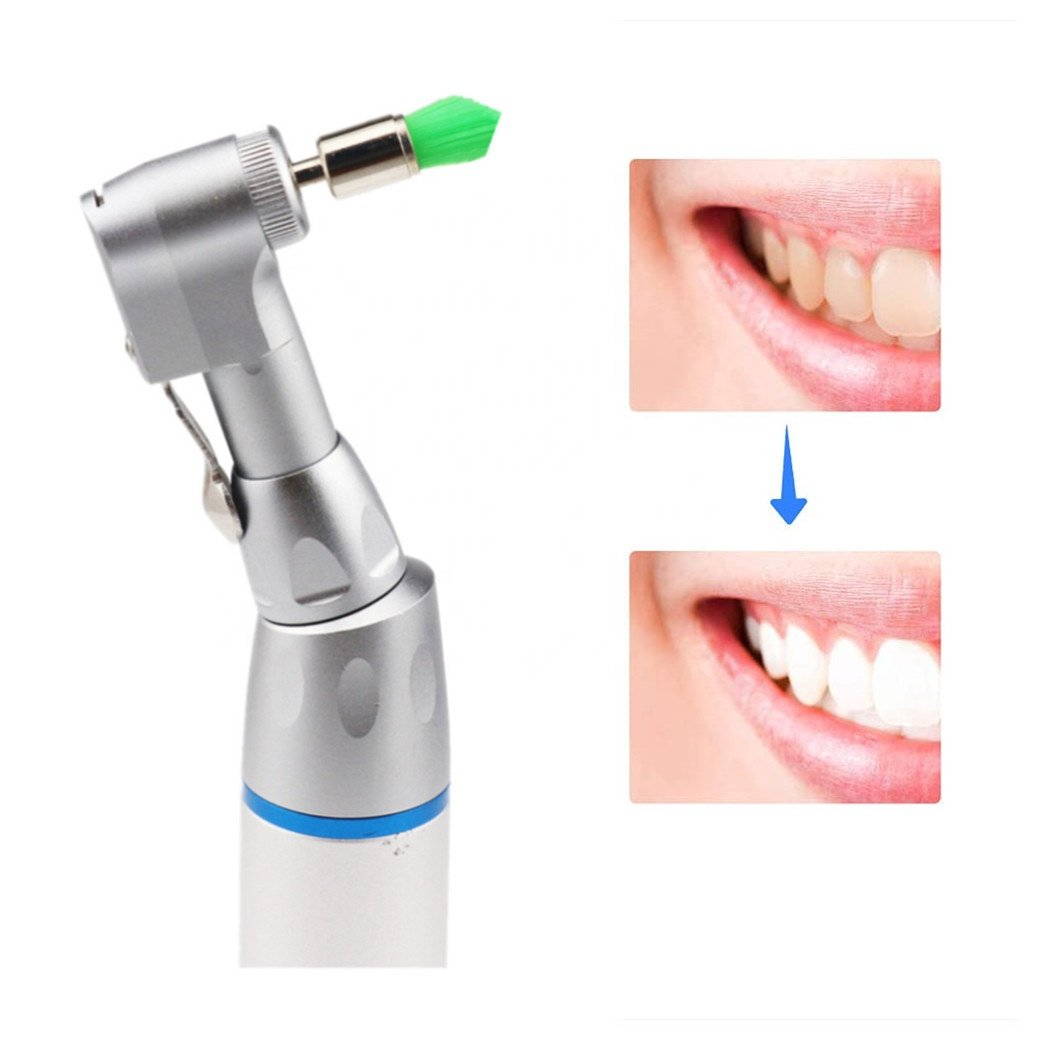 Other Dental Equipments Dentist Lab tool Tapered Polishers Dental Polishing Prophy Brushes