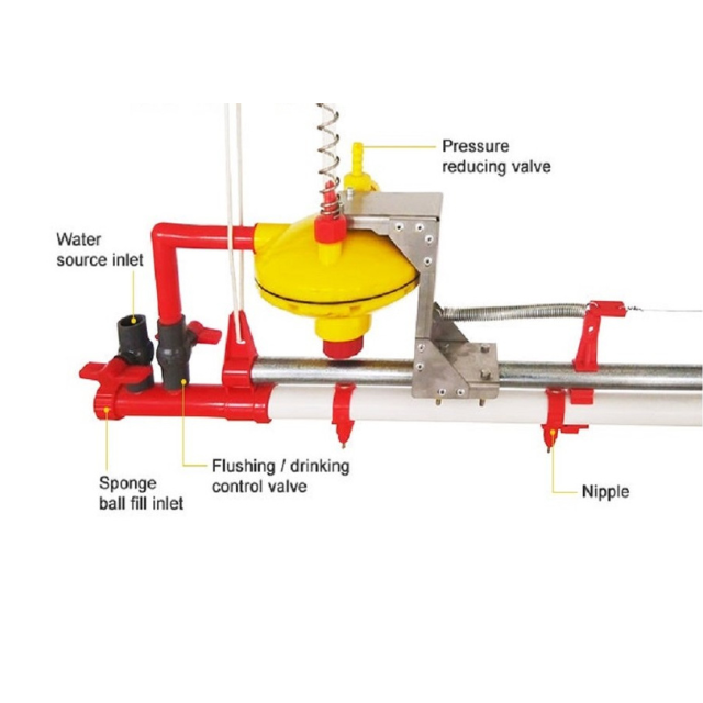 Poultry Equipment Chicken farm animal drinker Chicken Feeding System for Poultry Drinking Made In Vietnam Manufacturer
