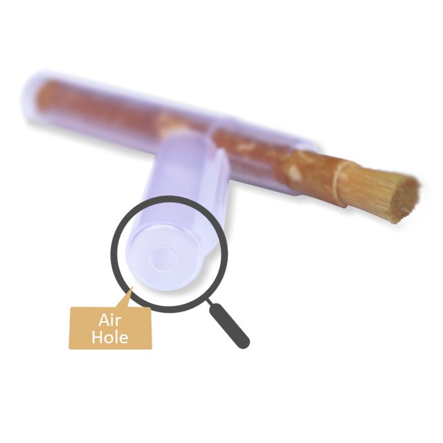 HIGHEST QUALITY VACUUM PACKED MISWAK/SEWAK/NATURAL TEETH CLEANING STICK SOFT BRISTLES TOOTHBRUSH NATRUAL BRISTLES ORGANIC MISWAK
