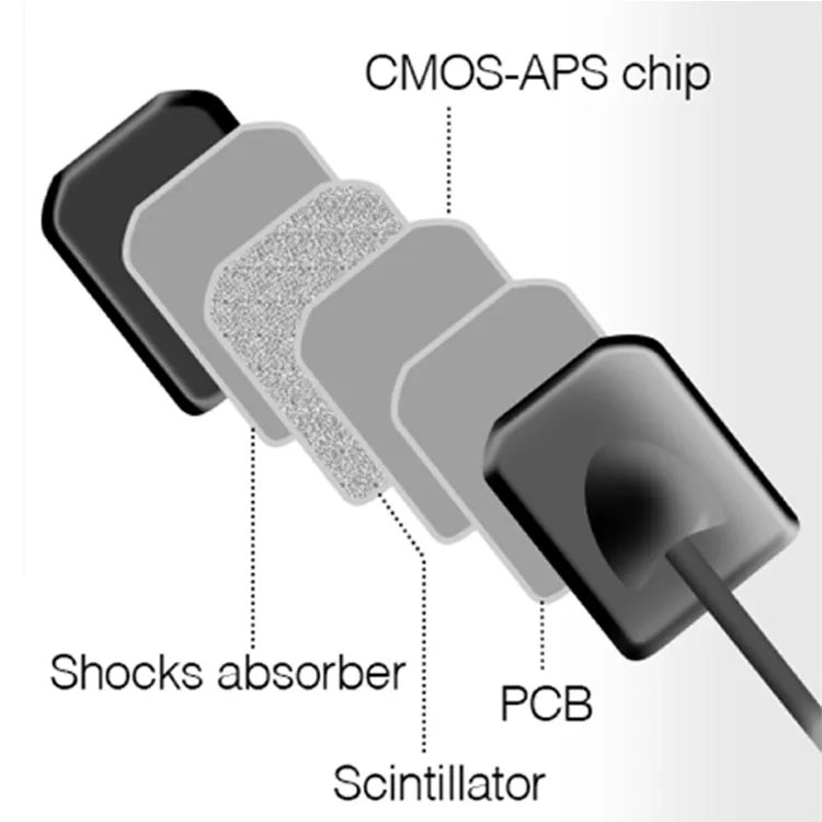 Handy Dental Digital X-Ray Sensor HDR500 RVG Compatible with Win2000/xp/Win7/Win 8/Win 10 USB X Ray Intraoral Imaging System