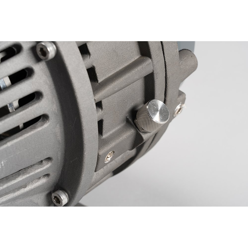 GWSP75 daily maintenance free portable dry vacuum pump for hydrogen fuel cell degassing