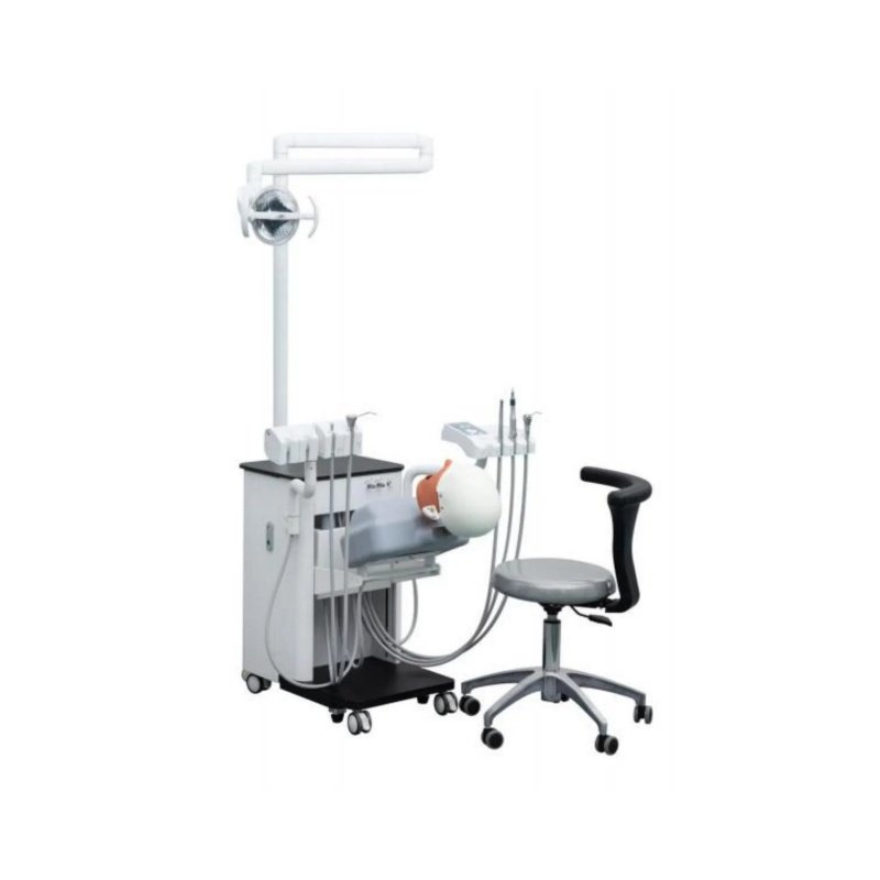 Electric Simulation Human Oral Simulation Teaching Trainer and Other Scale Simulation Medical Teaching Model