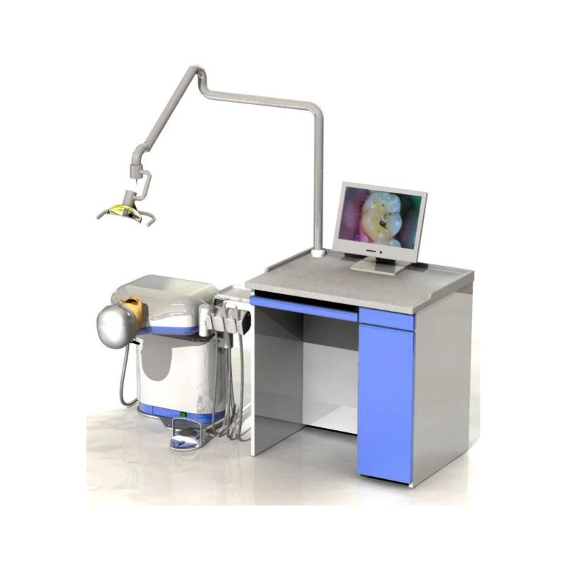 Electric Simulation Human Oral Simulation Teaching Trainer and Other Scale Simulation Medical Teaching Model