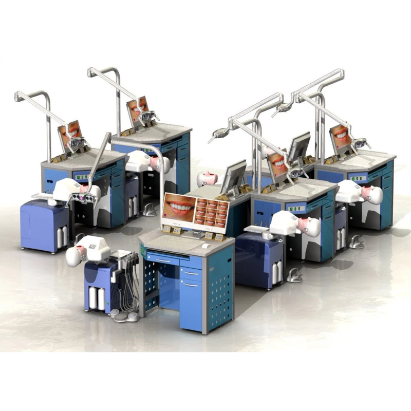 Electric Simulation Human Oral Simulation Teaching Trainer and Other Scale Simulation Medical Teaching Model