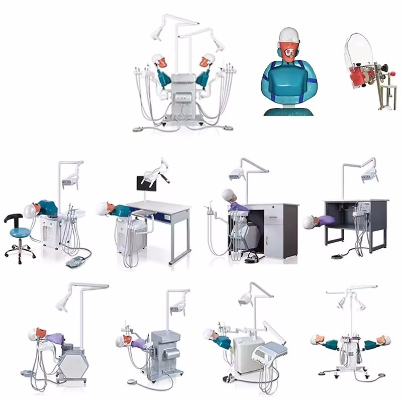 Electric Simulation Human Oral Simulation Teaching Trainer and Other Scale Simulation Medical Teaching Model