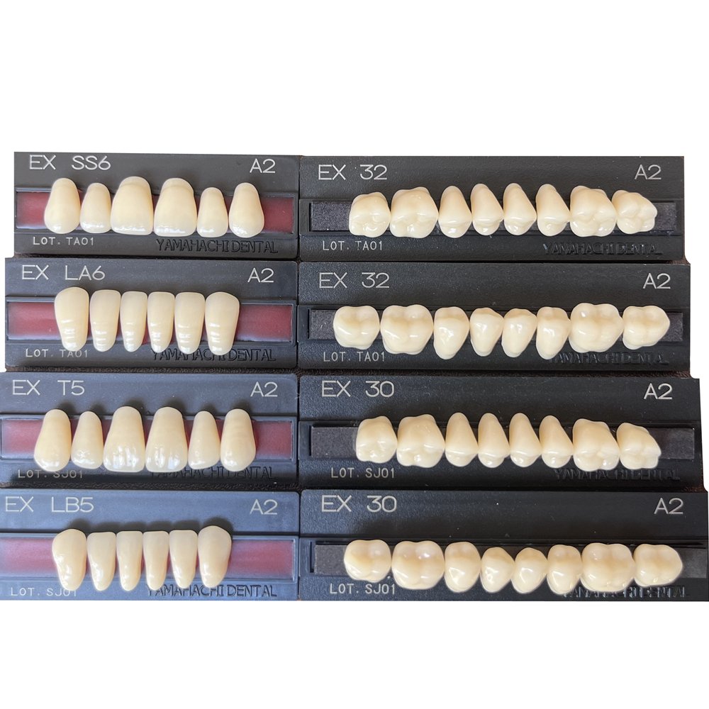 Regular Hard Dentures Synthetic Resin Teeth Artificial Teeth Yamahachi For Dental with CE Approval