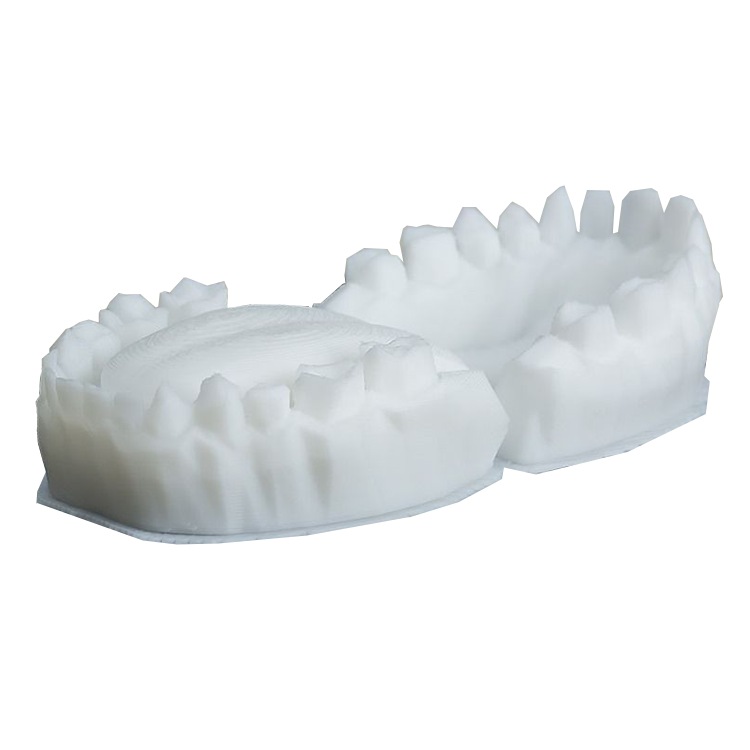 3d Printing Tooth Oral Cavity Dental Implant Rapid Prototype Model