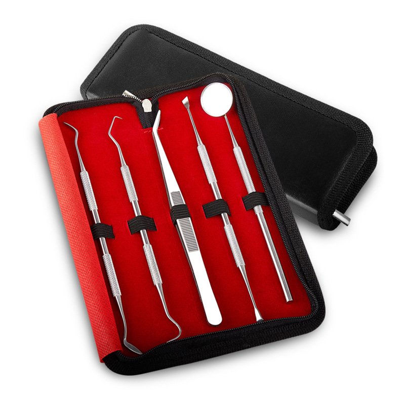 Professional Teeth Cleaning Oral Care Kit Tooth Pick Dental Mirror Tartar Scraper Dental Probe Dental Scaler Dental Tools Kit