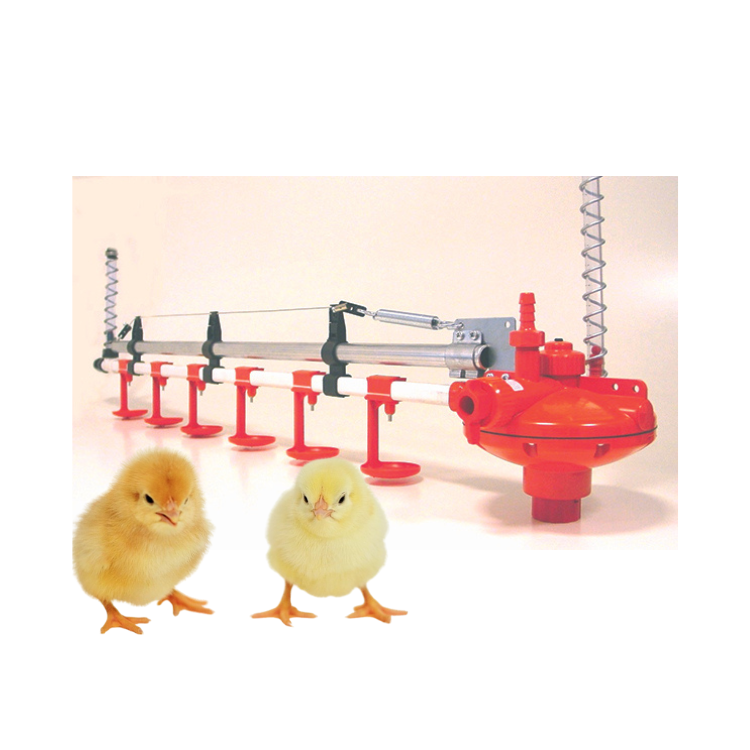 Automatic Feeding And Drinking Line System Fast Delivery Plastic For Chicken Poultry Farming Equipment Vietnam Manufacturer